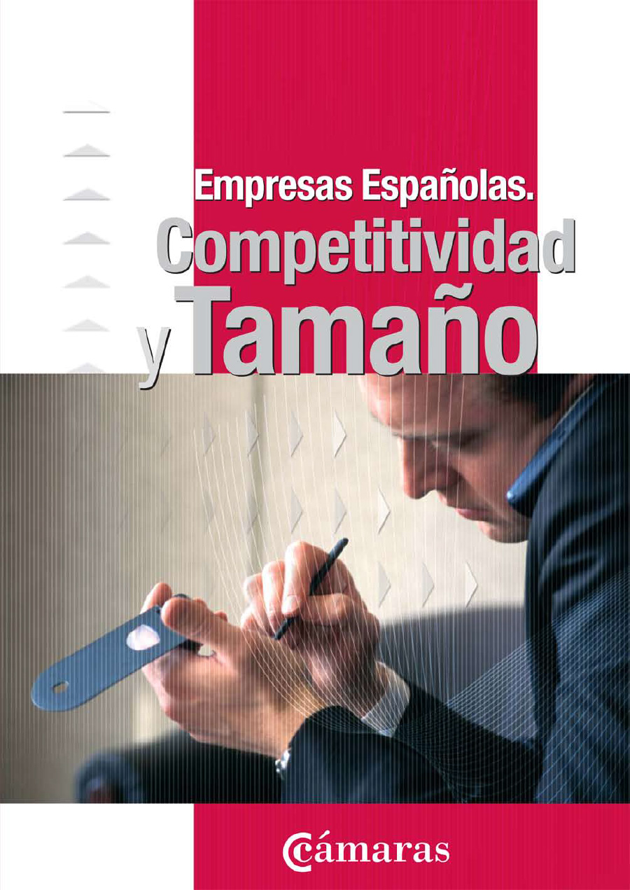 Competitividad y Tamaño Empresarial